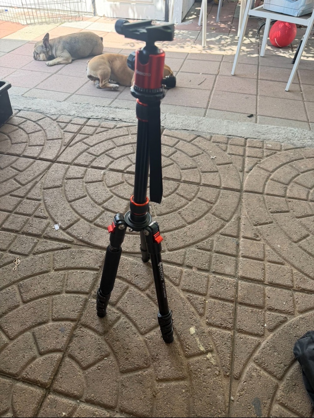 GEEKOTO AT24 Traveller Camera DSLR Aluminum Tripod/Monopod Lightweight